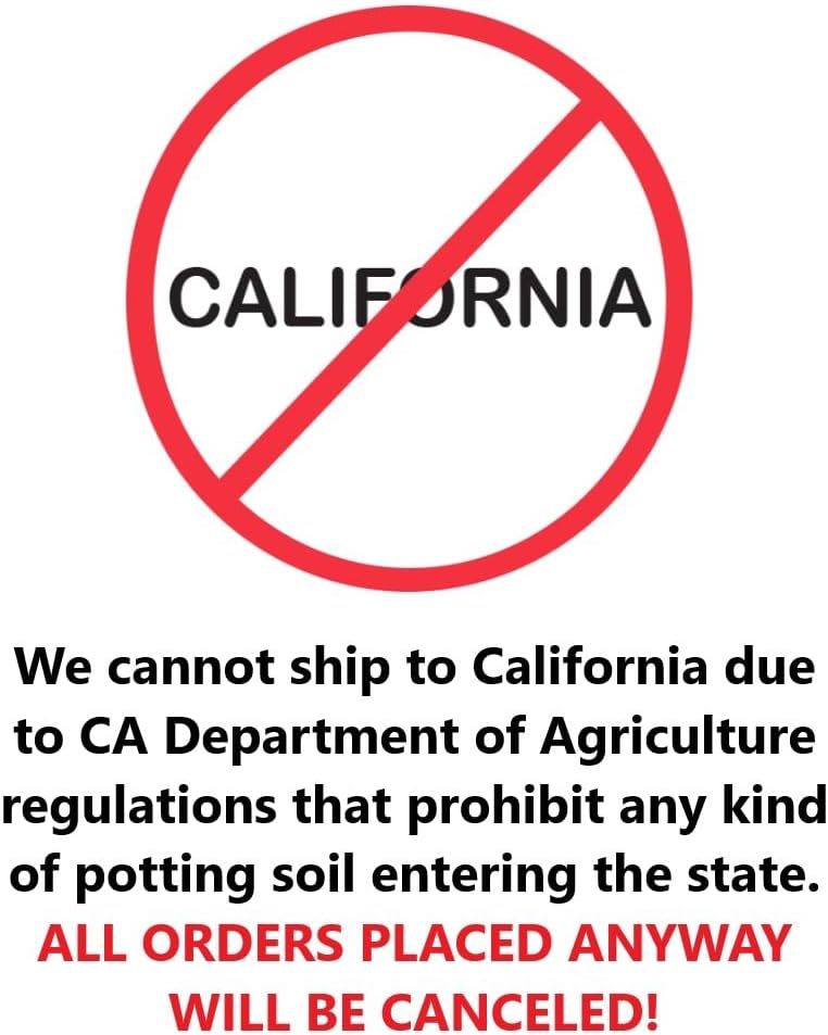 Belle of Georgia Peach Tree