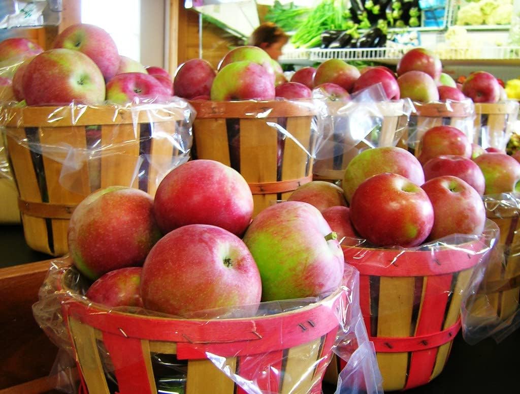 Apple Orchard Kit