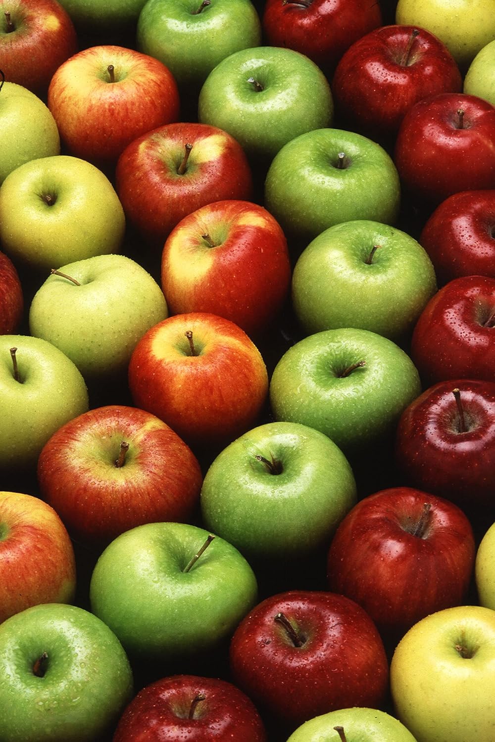 Apple Orchard Kit